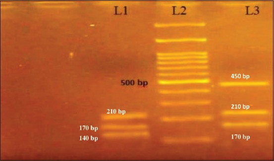 Figure-9