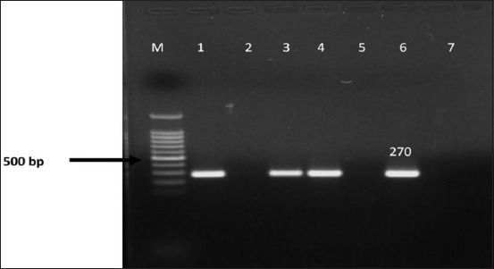 Figure-6