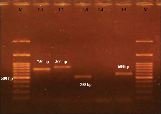 Figure-7