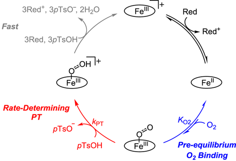 Scheme 1.