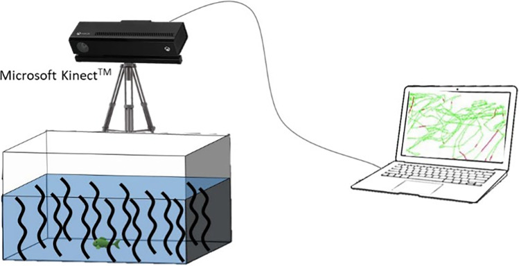 Fig. 1