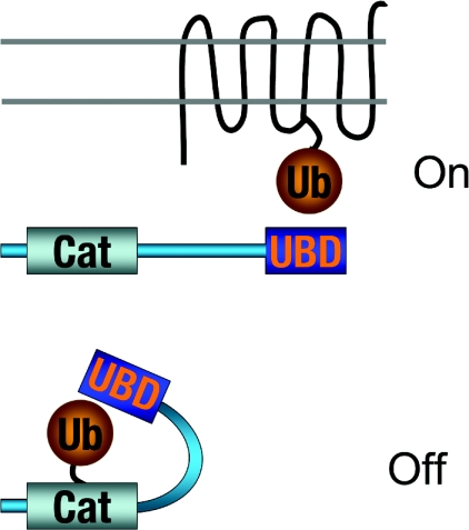 Figure 8