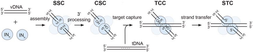 Figure 2.