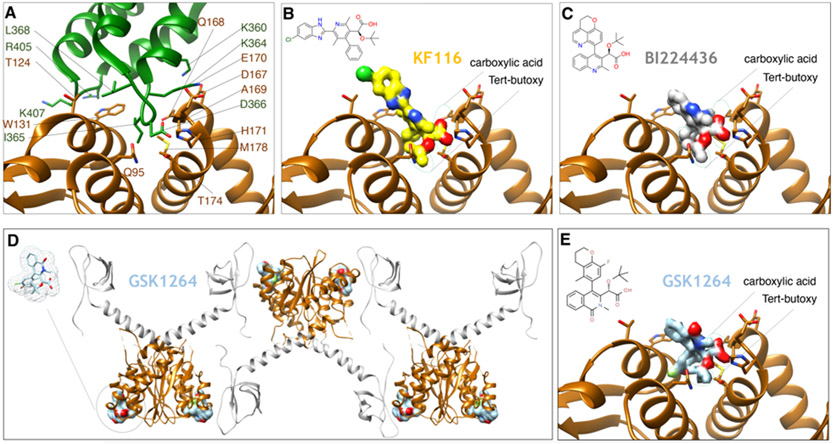 Figure 13.