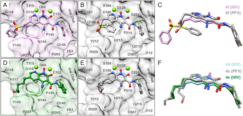 Figure 11.