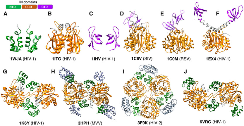 Figure 5.