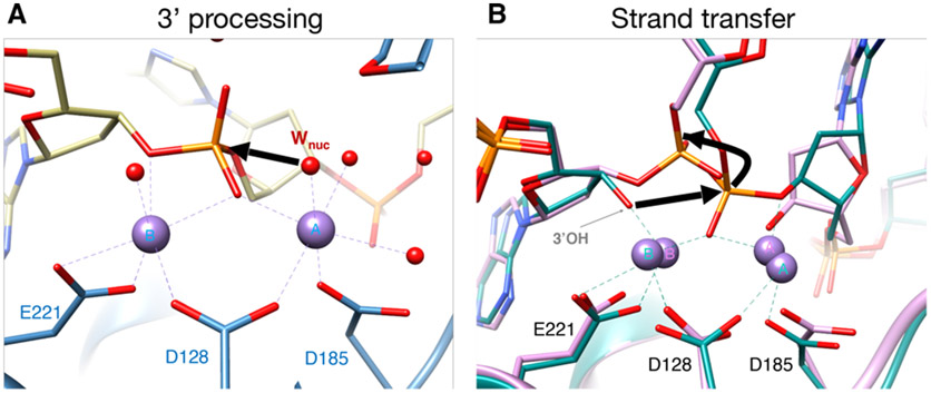 Figure 7.