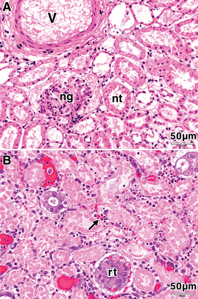 Figure 4: