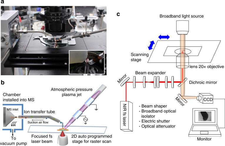 Fig. 1