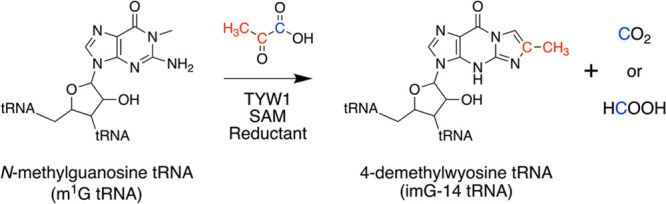 Scheme 2