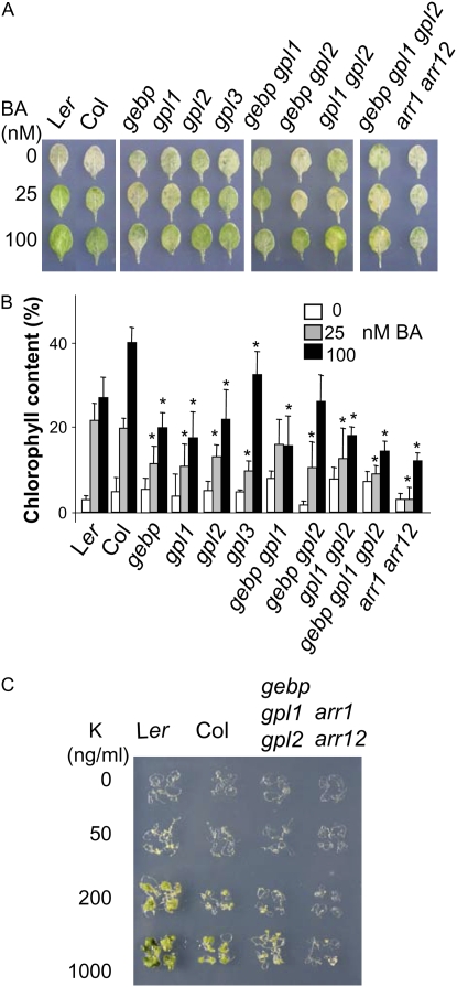 Figure 7.