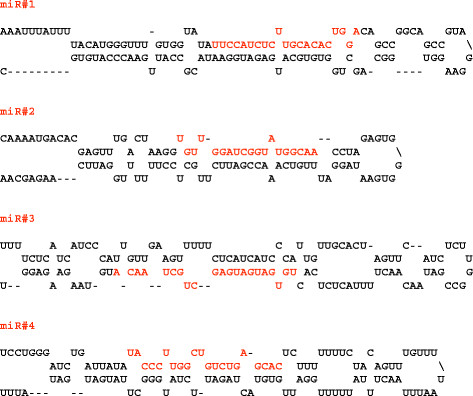 Figure 5 