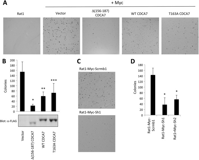 Fig 11