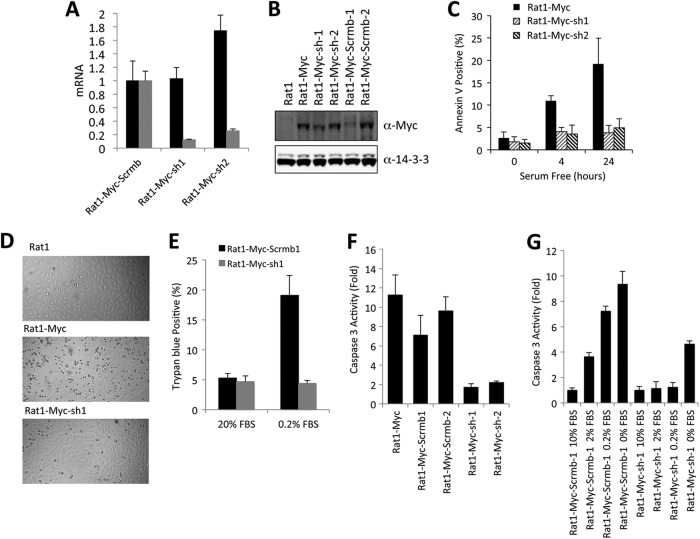 Fig 10