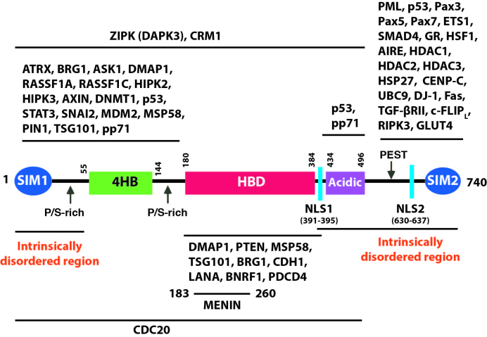 Figure 1.