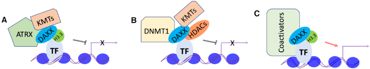 Figure 4.