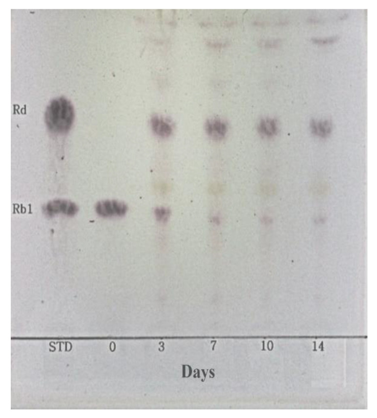 Figure 6