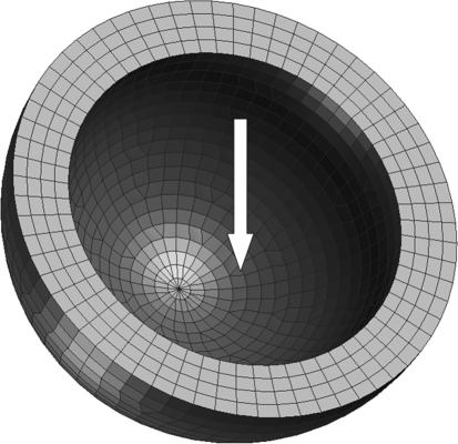 Fig. 5