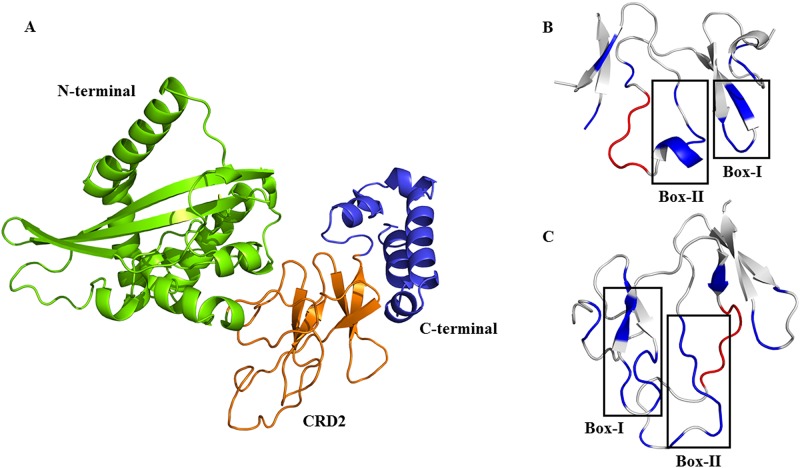 Fig 2