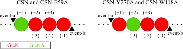 Fig. 8