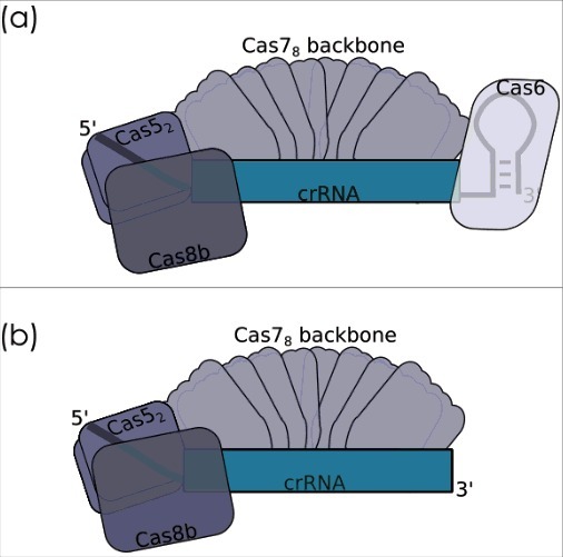 Figure 6.