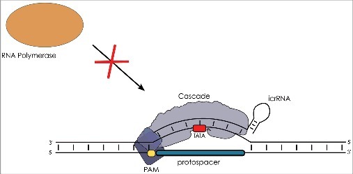 Figure 7.