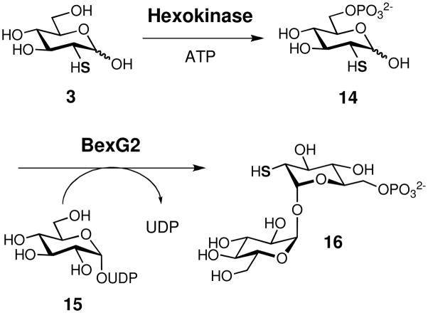 Scheme 2