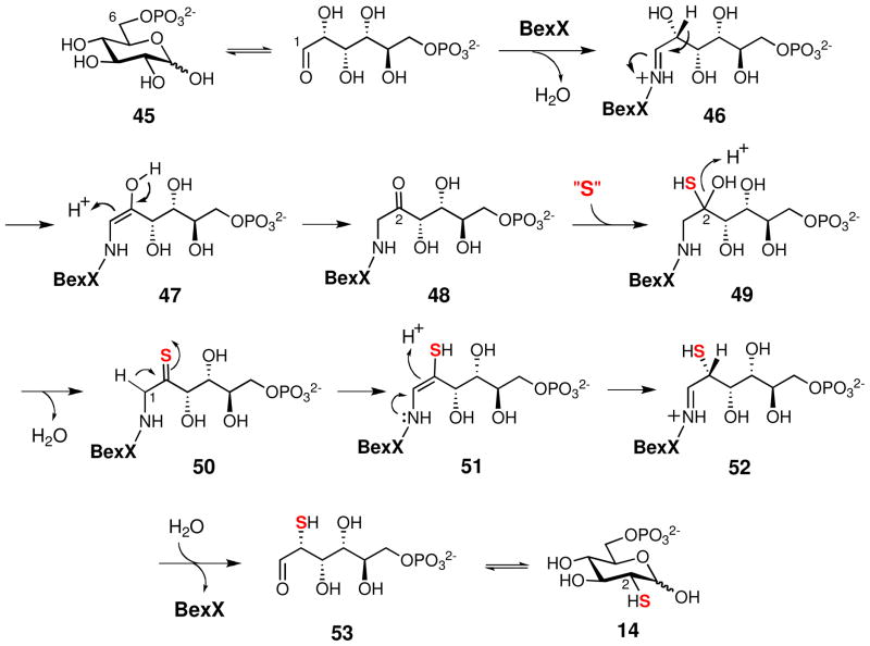 Scheme 7