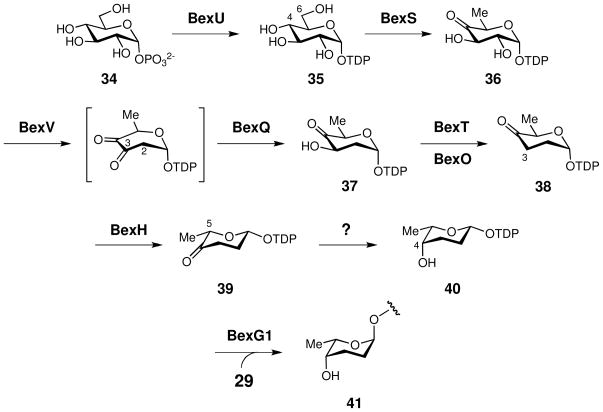 Scheme 5