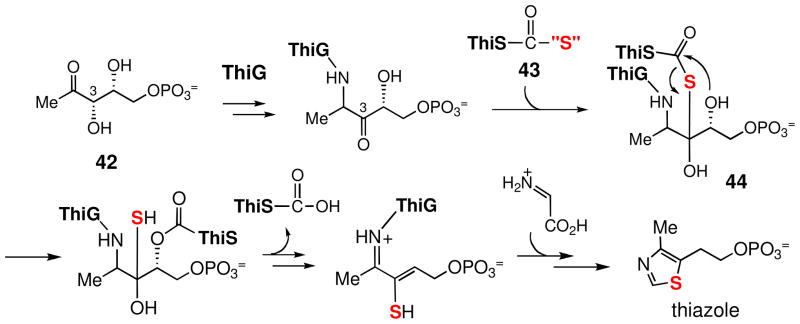 Scheme 6