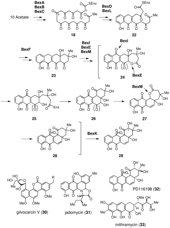 Scheme 4