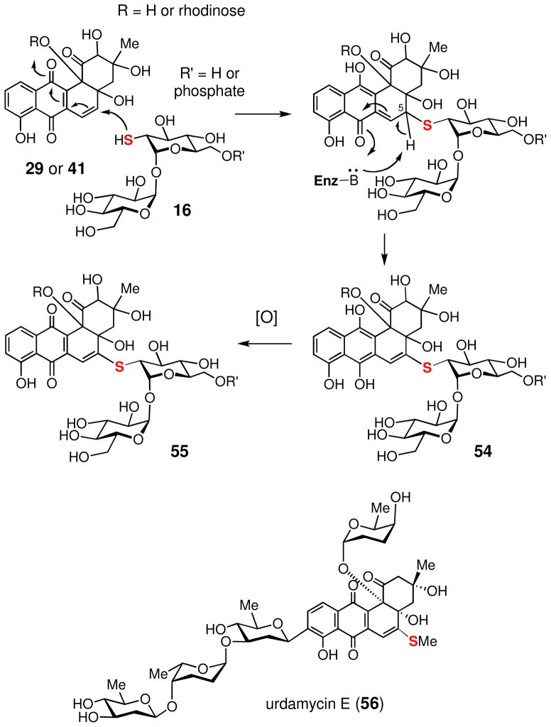 Scheme 8