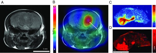 Fig. 4.