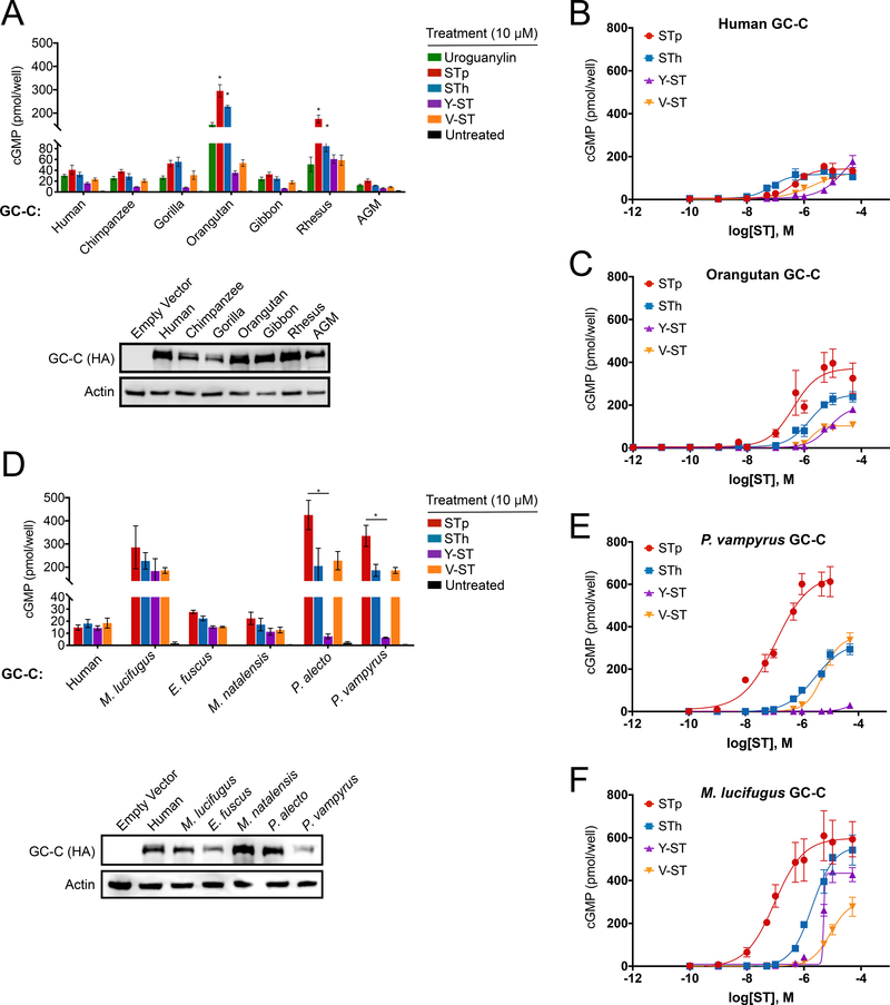 Figure 2: