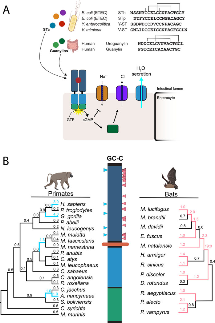 Figure 1: