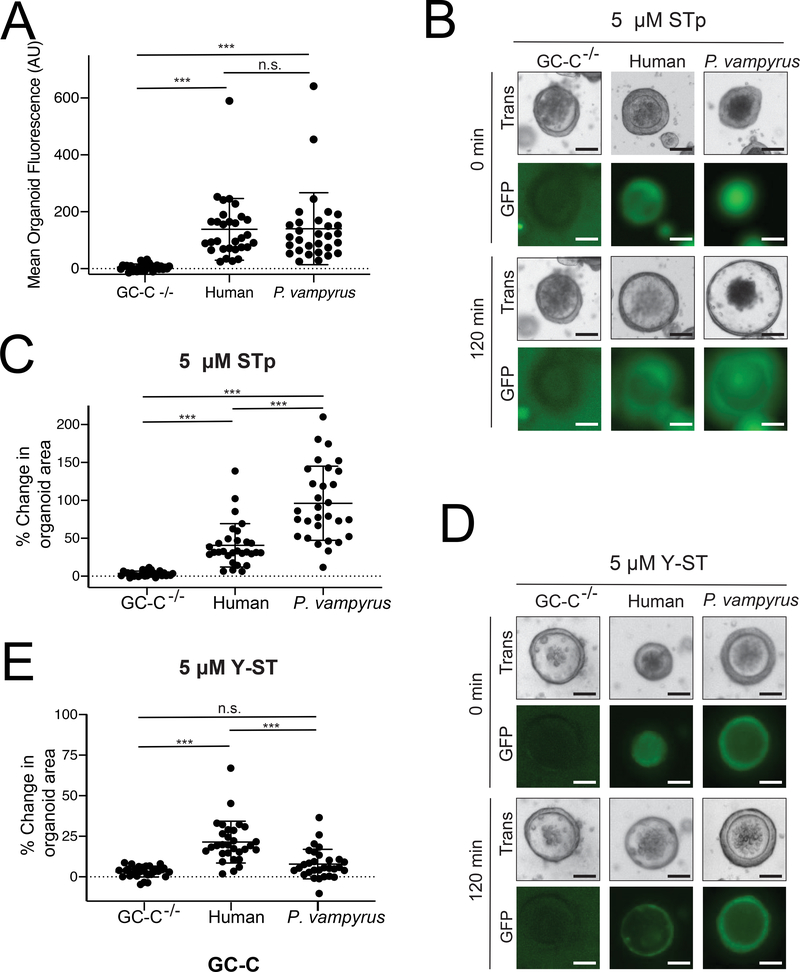 Figure 3: