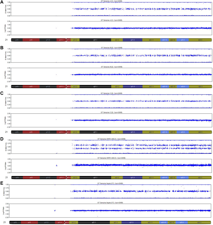 FIGURE 3