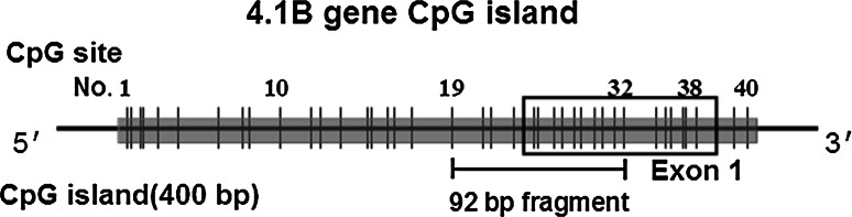 Fig. 5