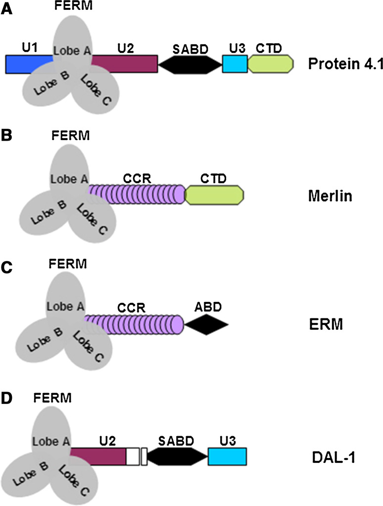 Fig. 1