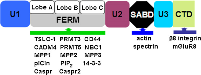 Fig. 3