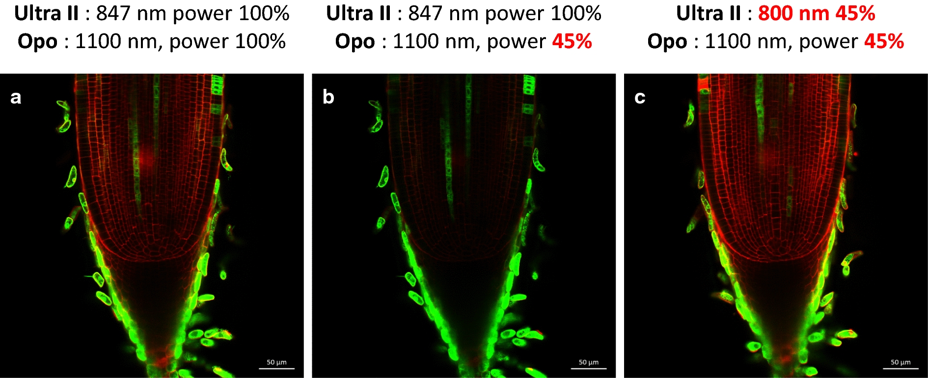 Fig. 3