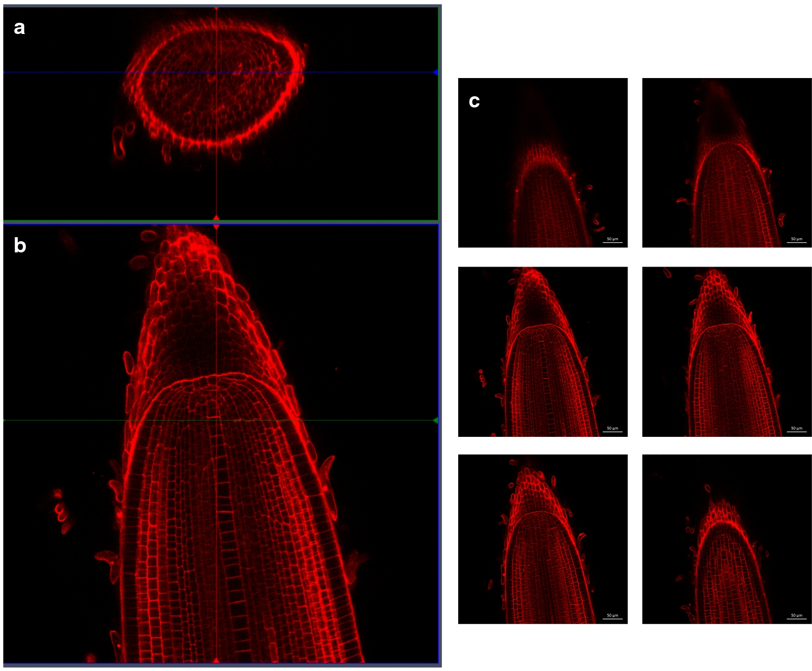 Fig. 2