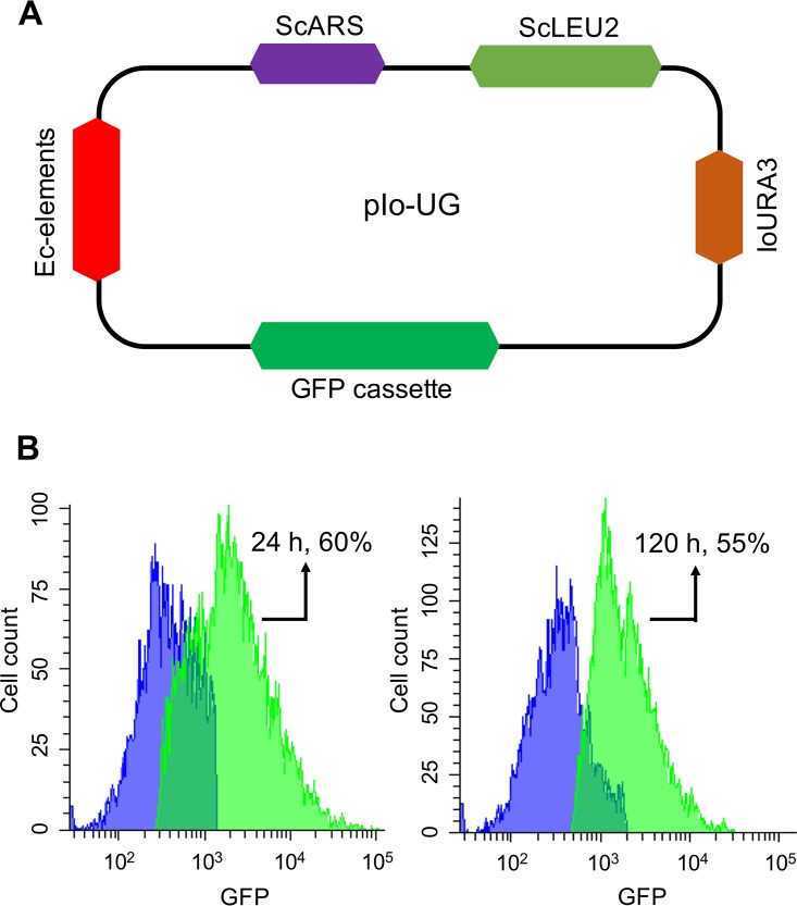 FIG 1