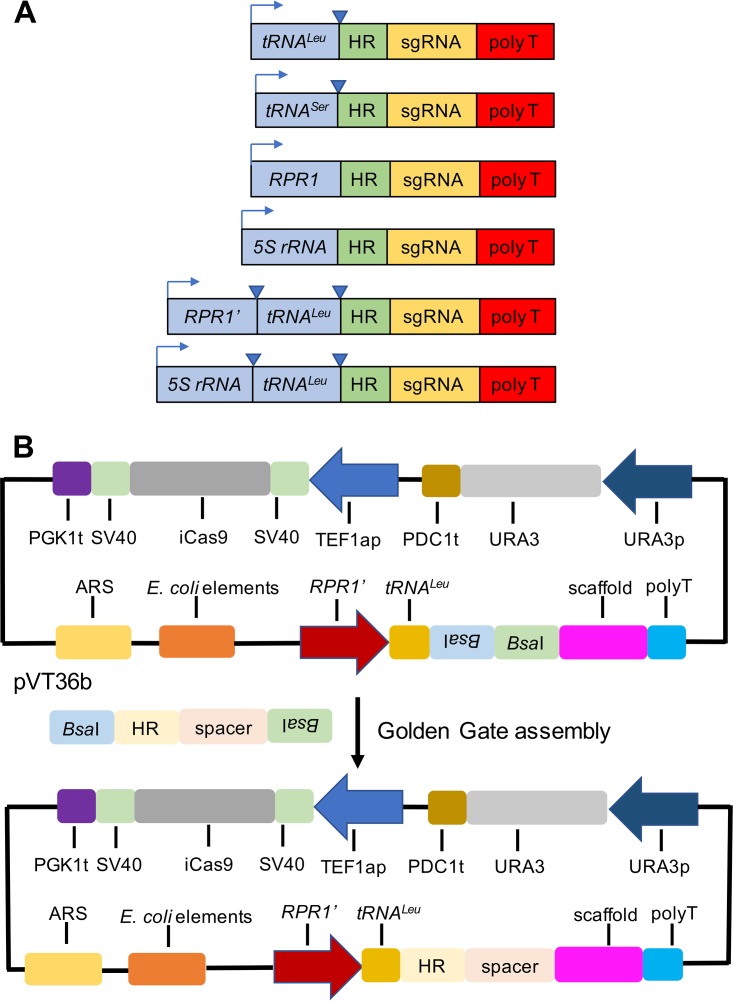 FIG 2