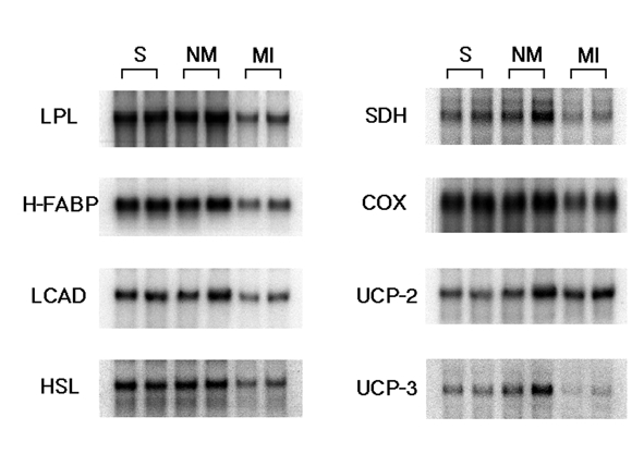 Figure 3)