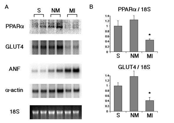 Figure 2)