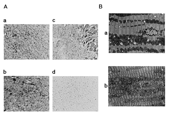 Figure 4)