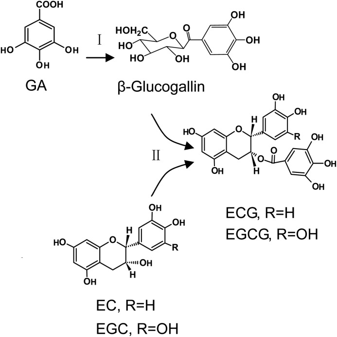 FIGURE 2.