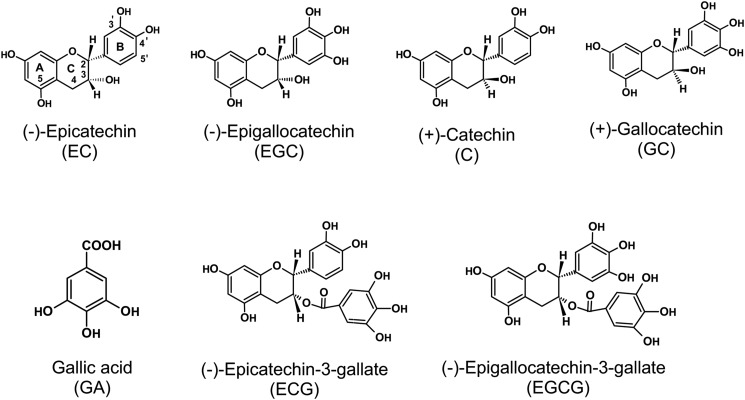 FIGURE 1.