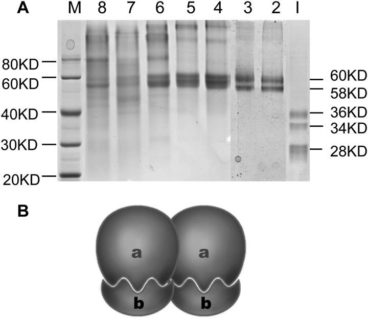 FIGURE 10.